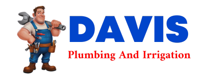 Trusted plumber in RUNGE